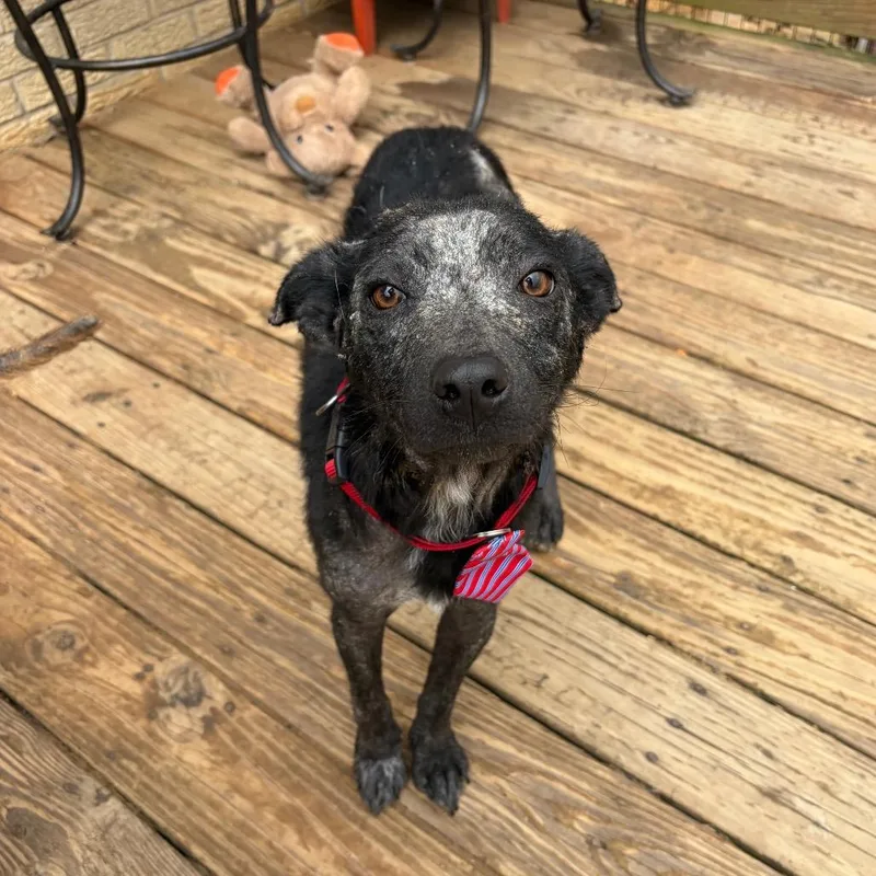 Rocky Road thumbnail 5