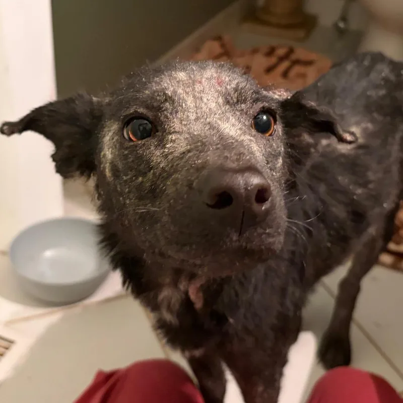 Rocky Road thumbnail 6