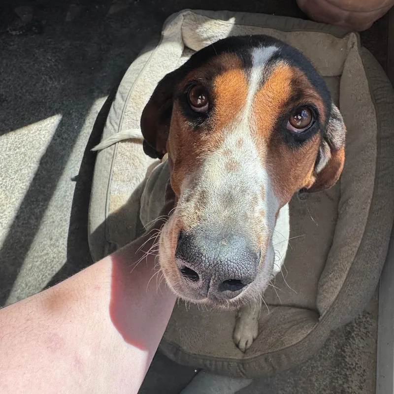 June Carter thumbnail 2