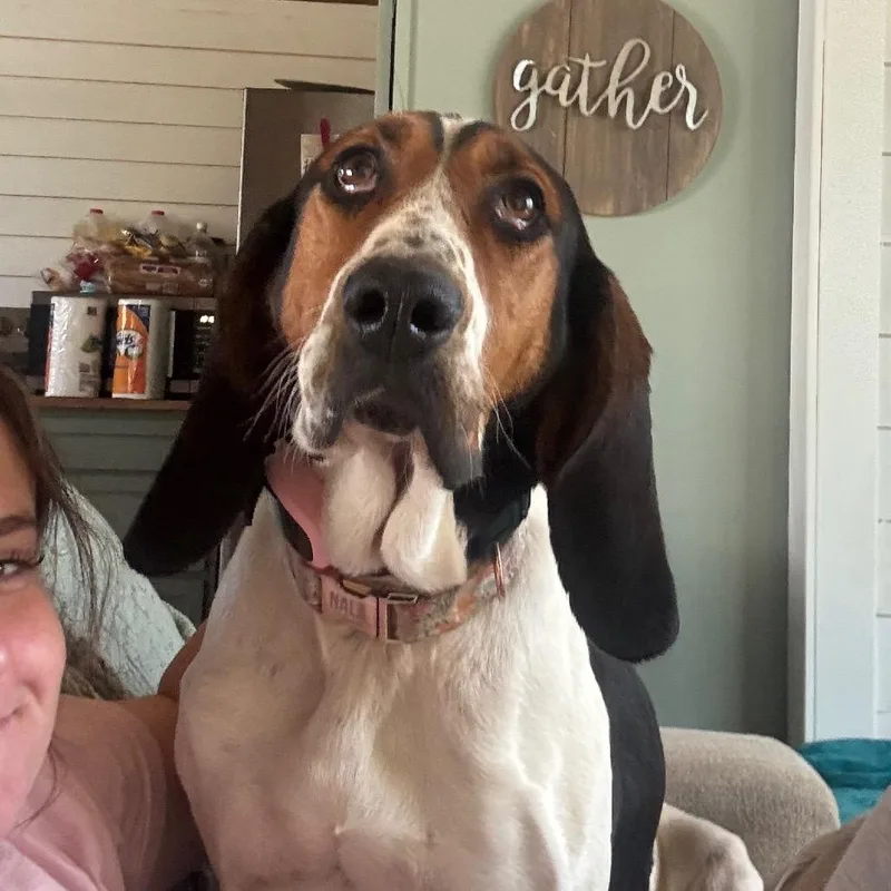 June Carter thumbnail 3