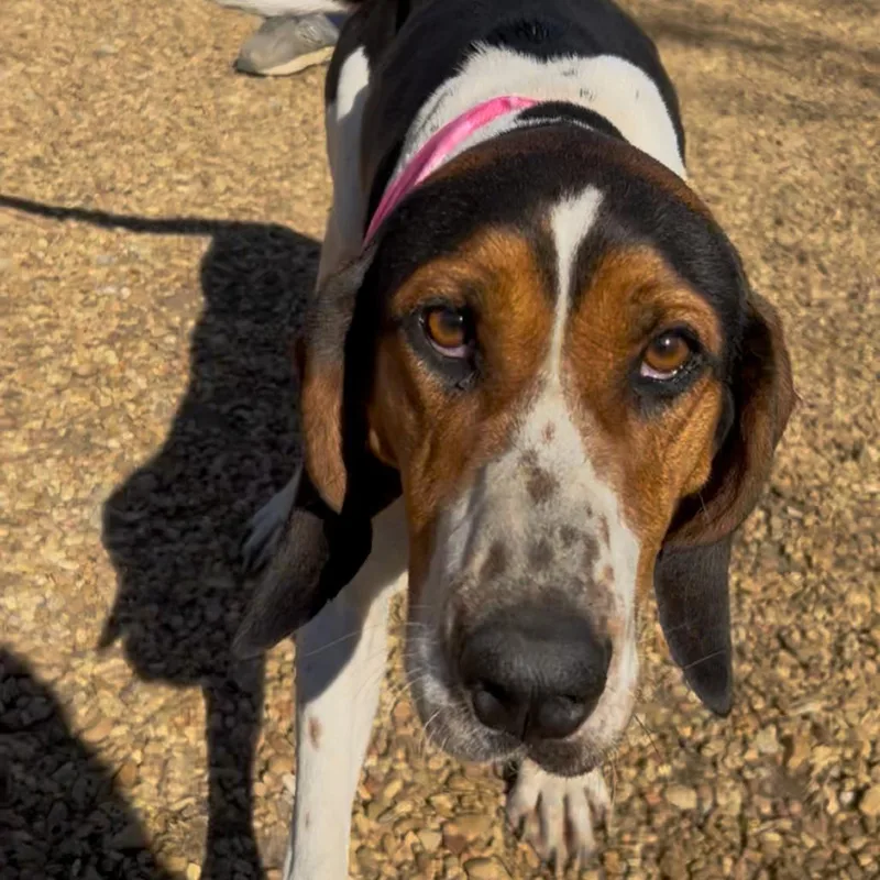 June Carter thumbnail 4