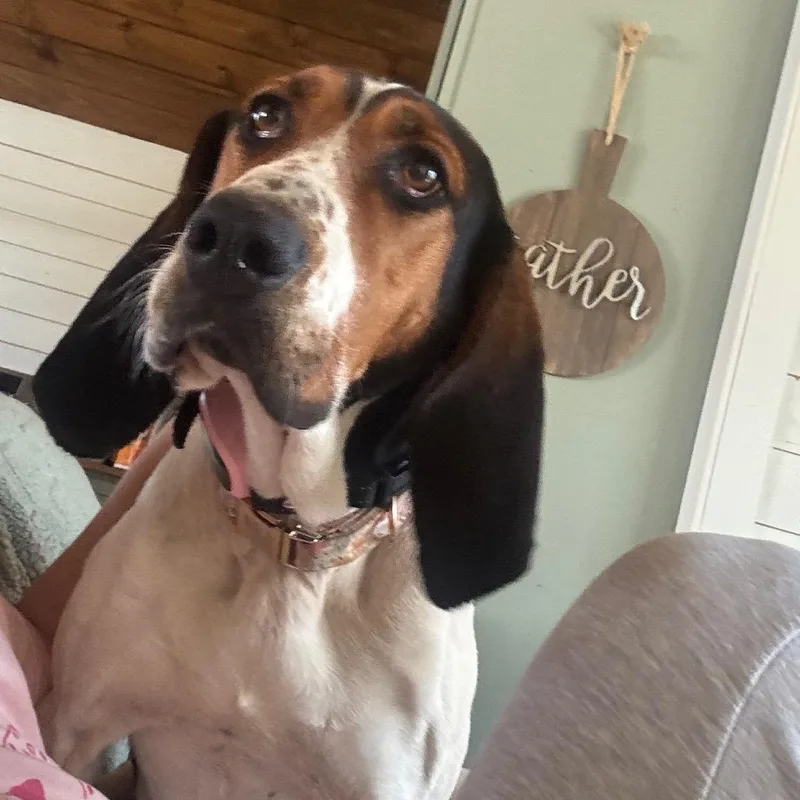 June Carter thumbnail 5