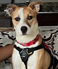 Juliette thumbnail 2