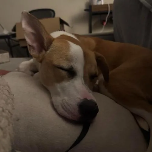 Juliette thumbnail 3