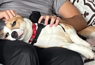 Juliette thumbnail 4