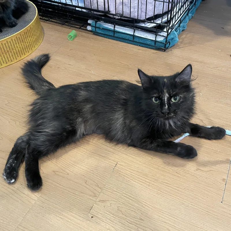 Danielle thumbnail 2