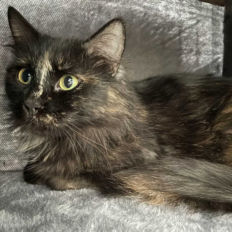 Danielle thumbnail 3