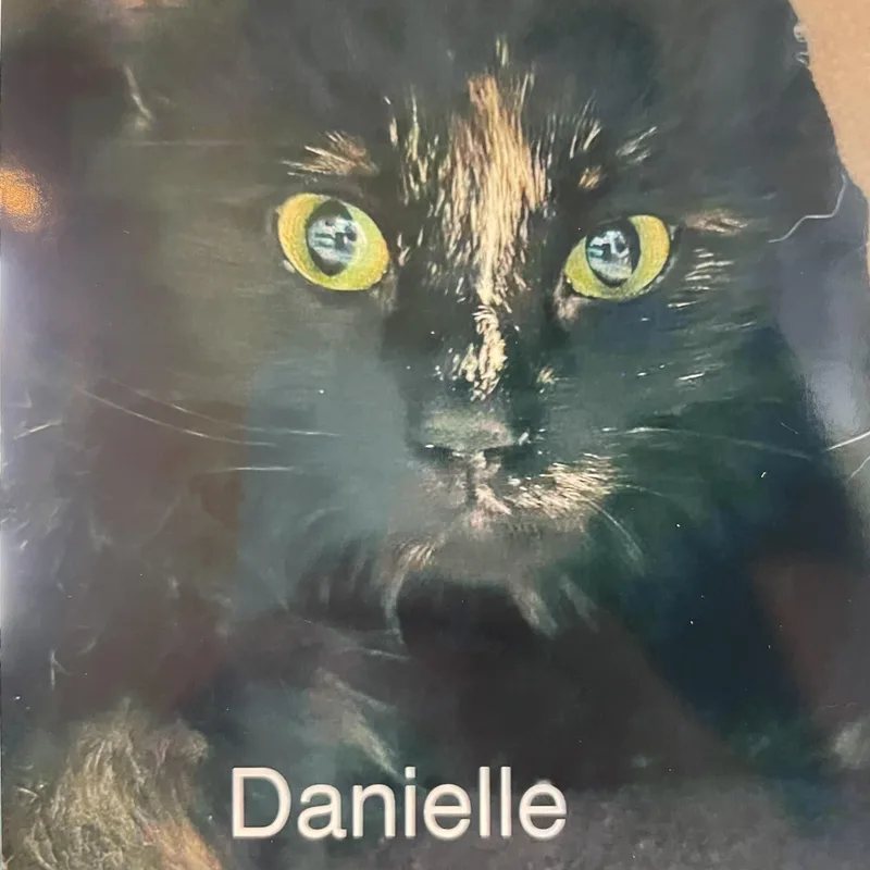 Danielle thumbnail 4