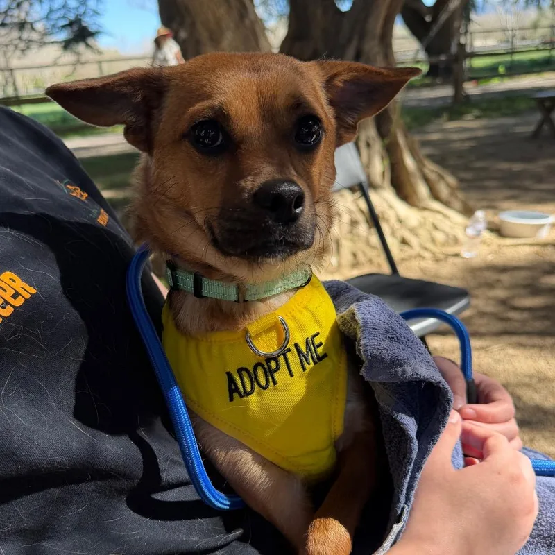 Busta Rhymes thumbnail 2