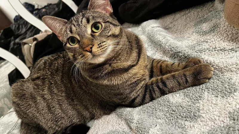 Panda& Amber thumbnail 2