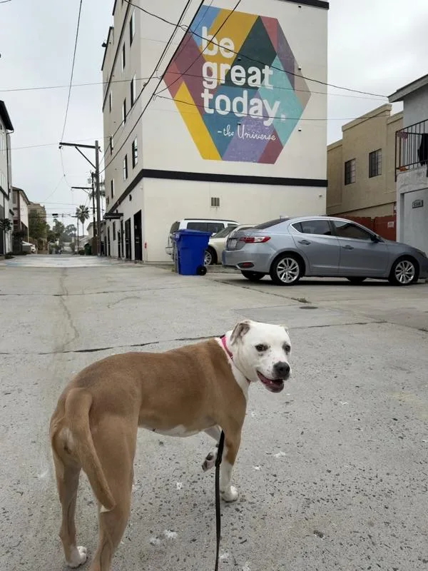 Rhaenyra thumbnail 2