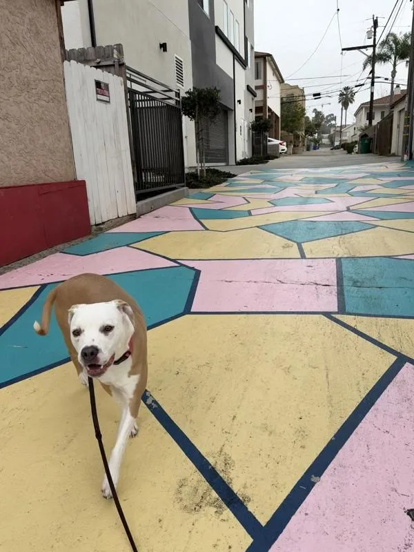 Rhaenyra thumbnail 3