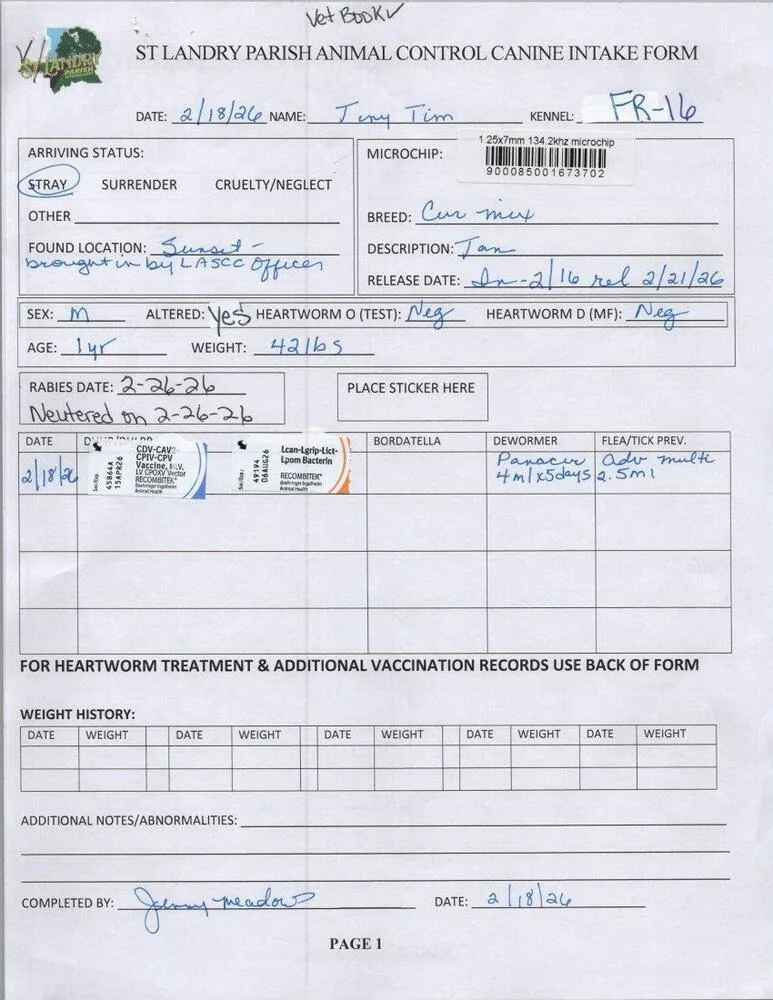 Tiny Tim thumbnail 2