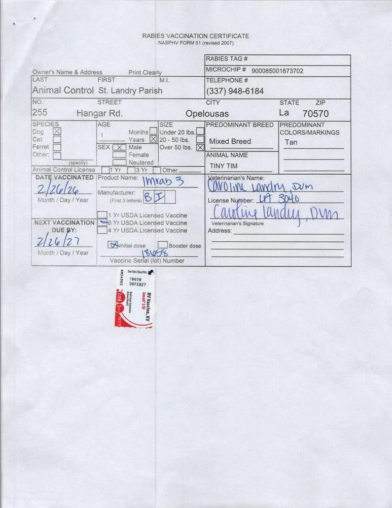 Tiny Tim thumbnail 3