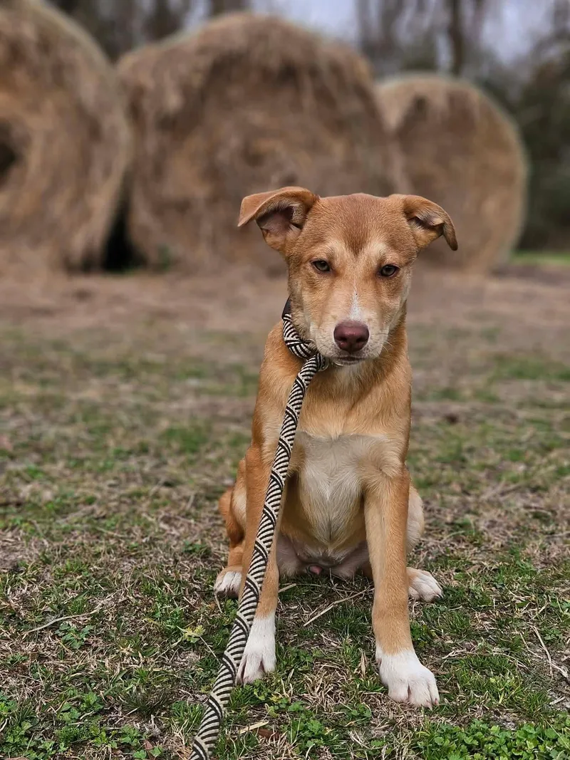 Leah Theo Local thumbnail 2