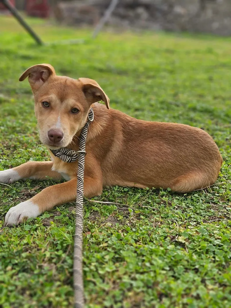 Leah Theo Local thumbnail 3