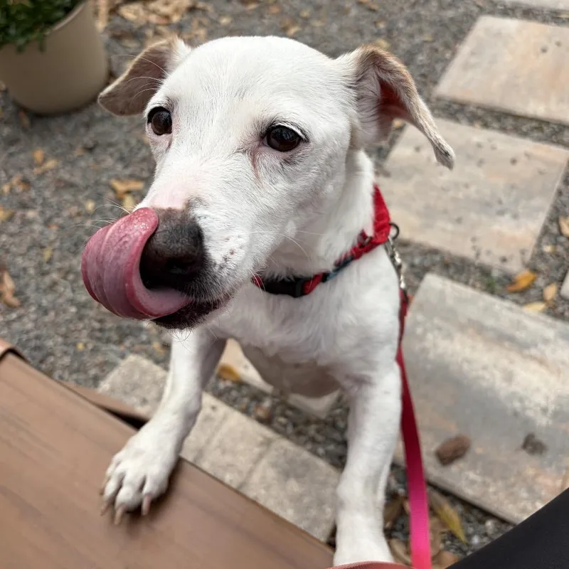 Rockwell thumbnail 6