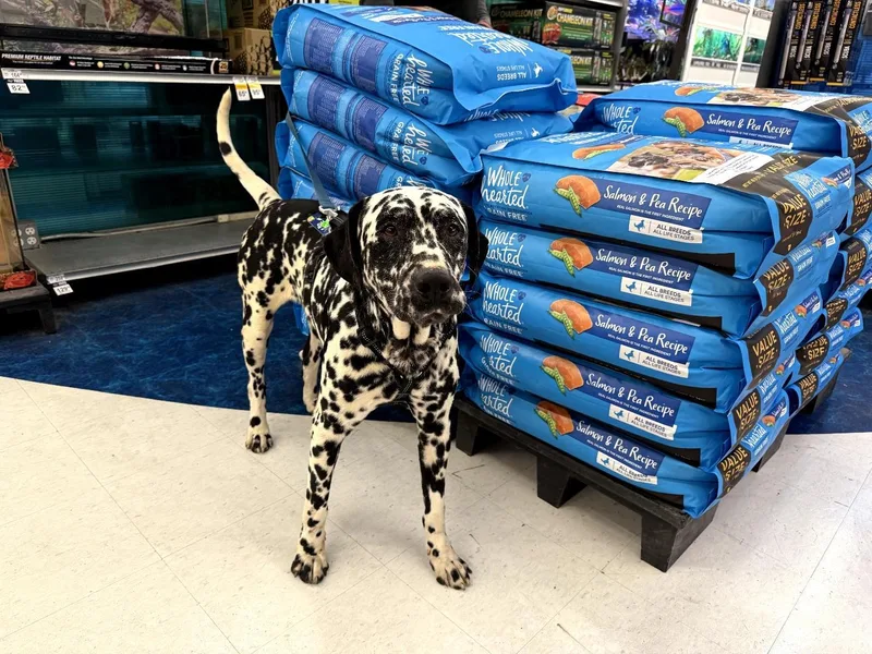 Hagridbakersfield  Ca thumbnail 2