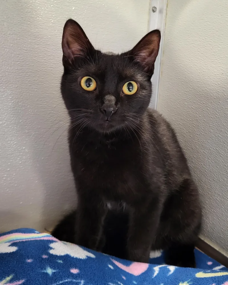 Maddie Lynn thumbnail 2