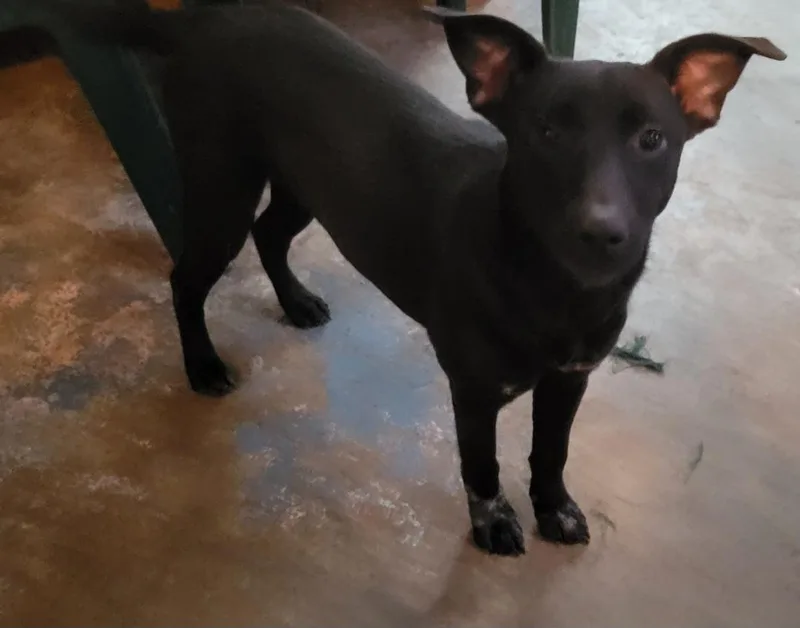 Mary Jane thumbnail 2