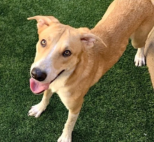 I Need You Today! thumbnail 2