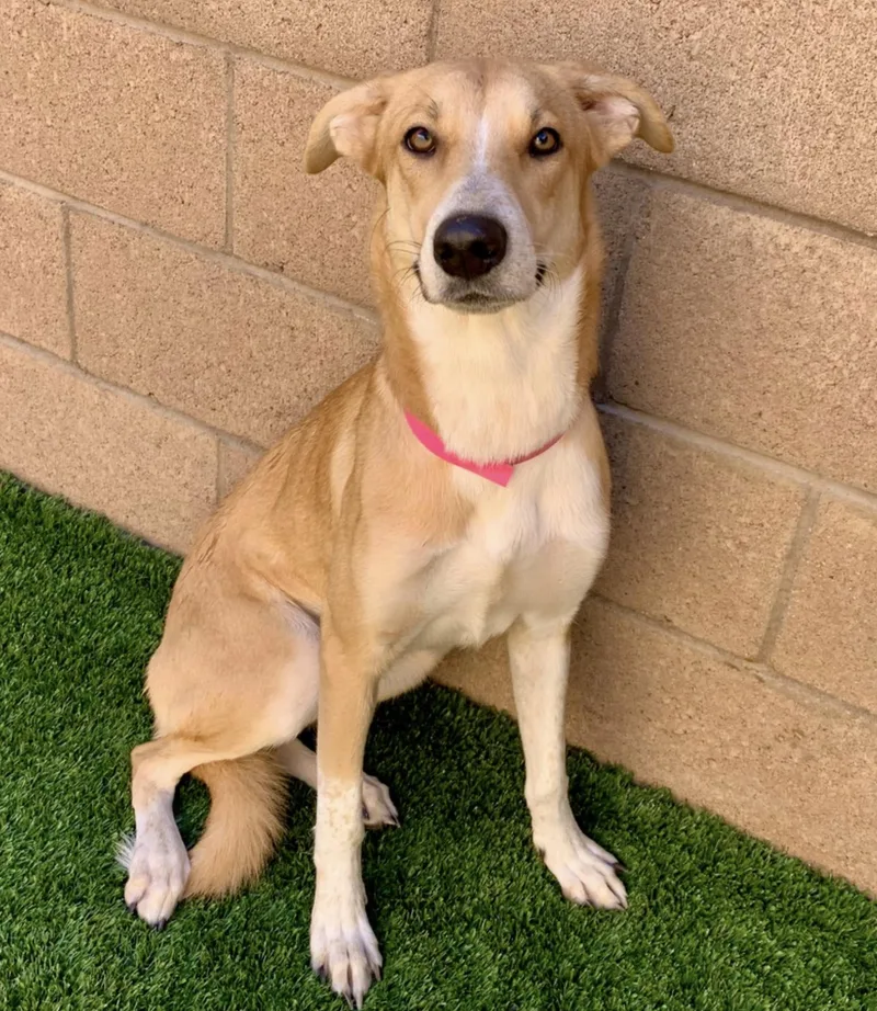 I Need You Today! thumbnail 3