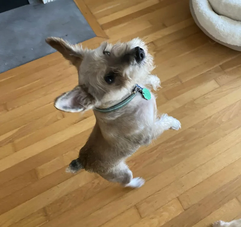 Ramenin South Carolina thumbnail 2