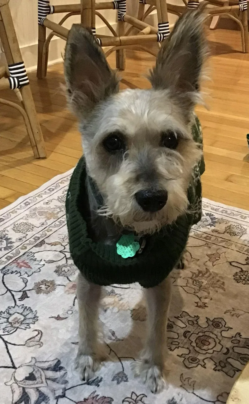 Ramenin South Carolina thumbnail 3