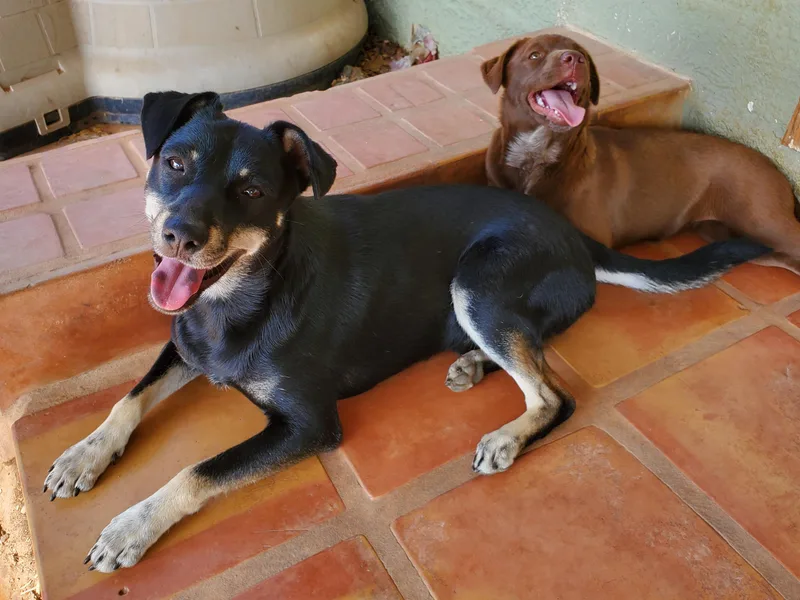 Ricochet thumbnail 2