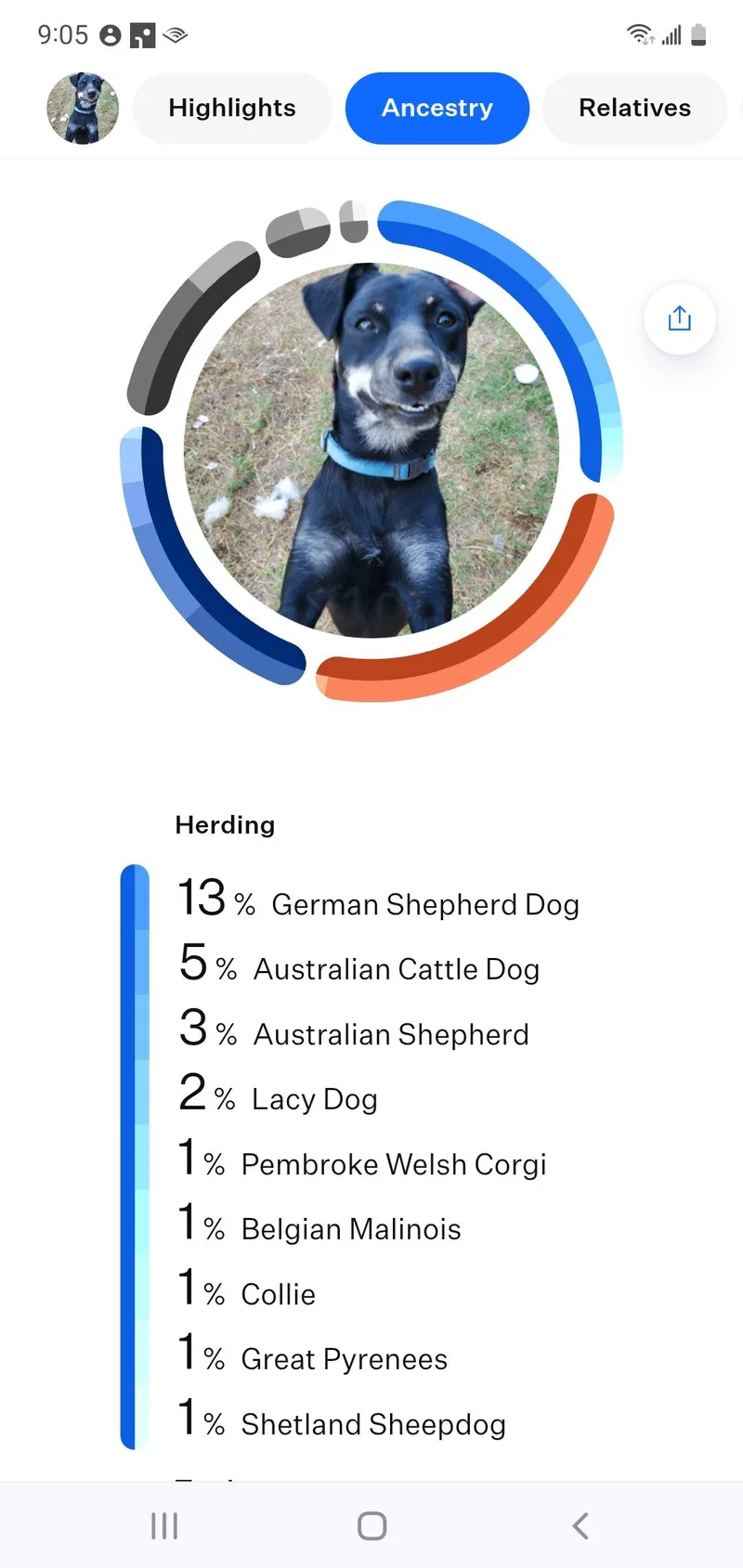 Ricochet thumbnail 3