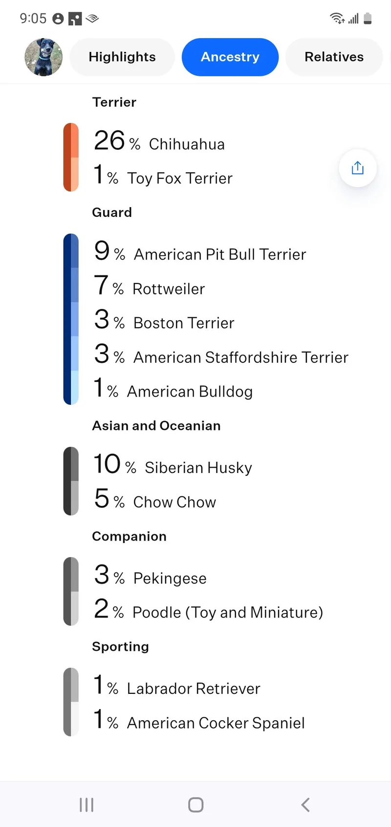 Ricochet thumbnail 5