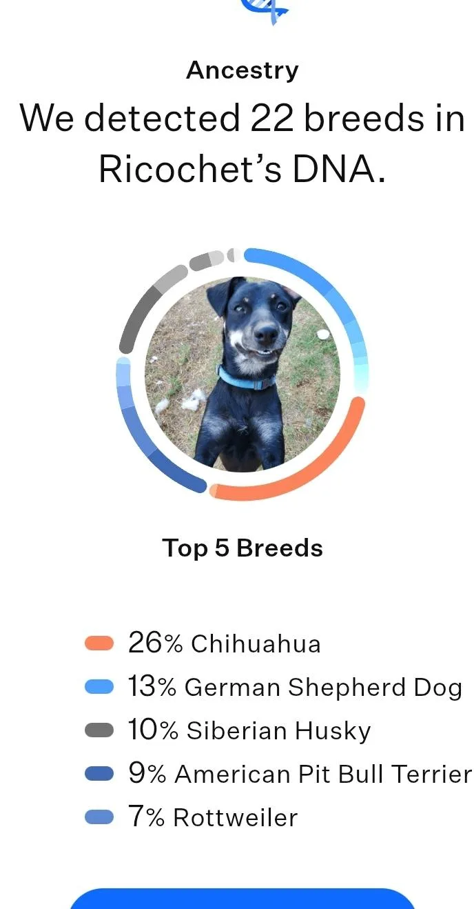 Ricochet thumbnail 6