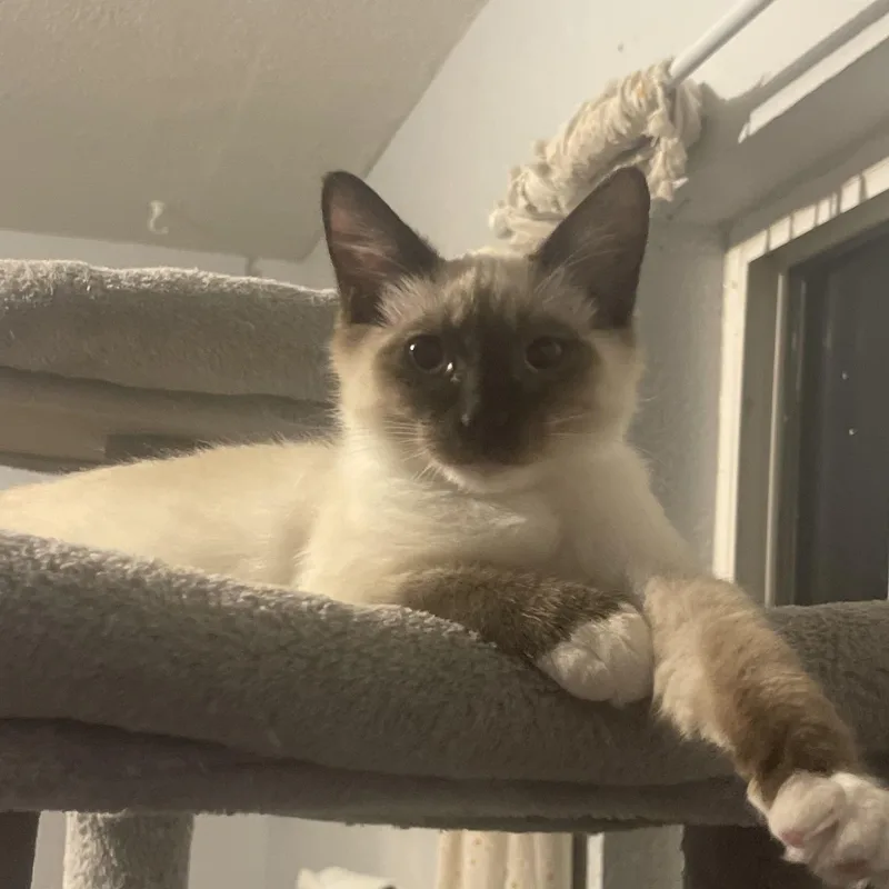 Jacob & Eddy Indoor thumbnail 5