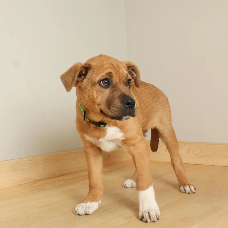 Calvin D thumbnail 2