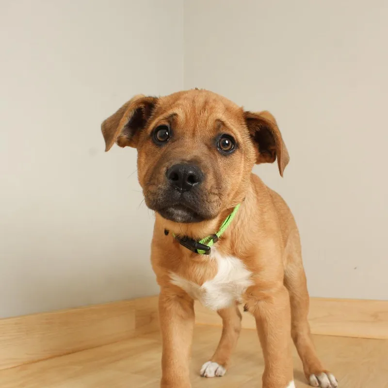 Calvin D thumbnail 3