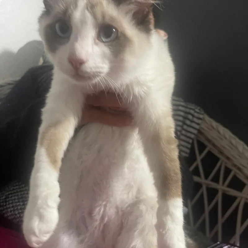 Eddy & Jacob Indoor thumbnail 2