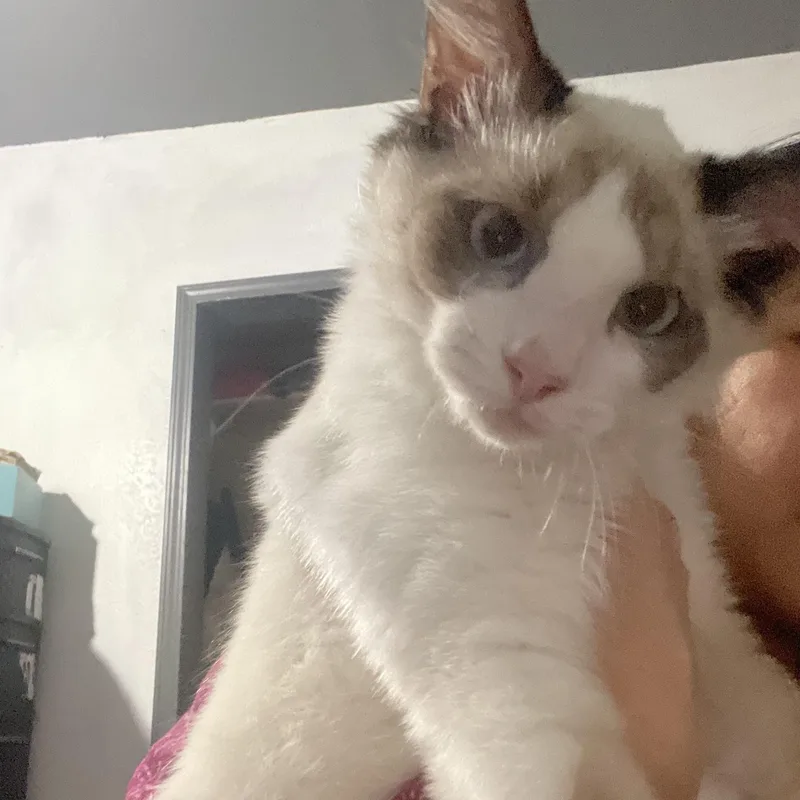 Eddy & Jacob Indoor thumbnail 3