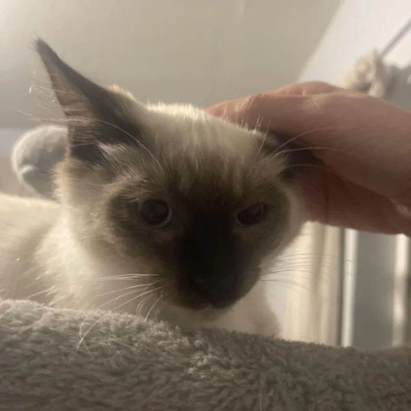 Eddy & Jacob Indoor thumbnail 5