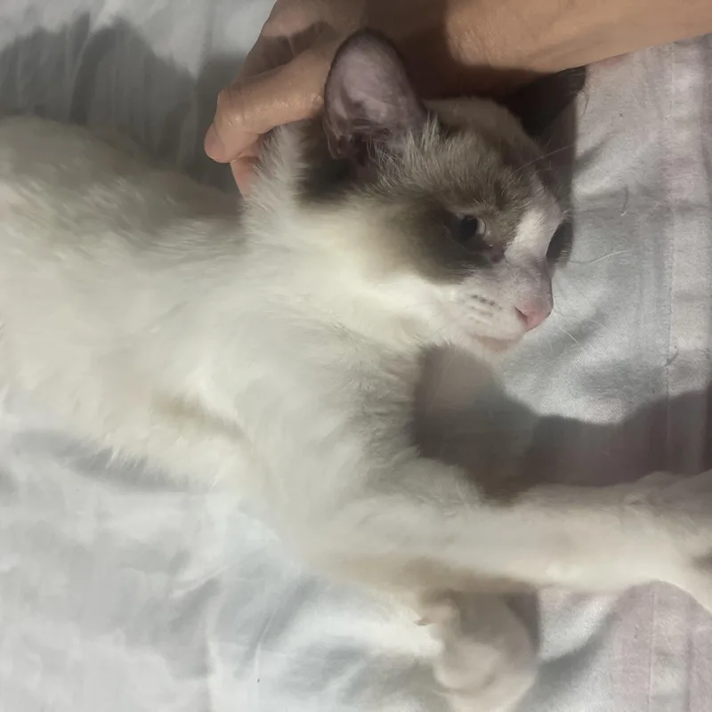 Eddy & Jacob Indoor thumbnail 6