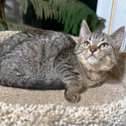 Selena  The Softest! thumbnail 3