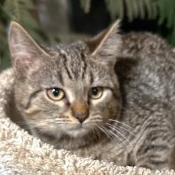 Selena  The Softest! thumbnail 4