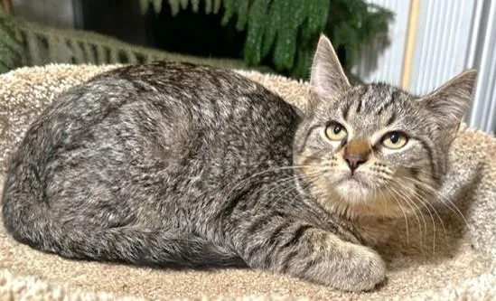 Selena  The Softest! thumbnail 5