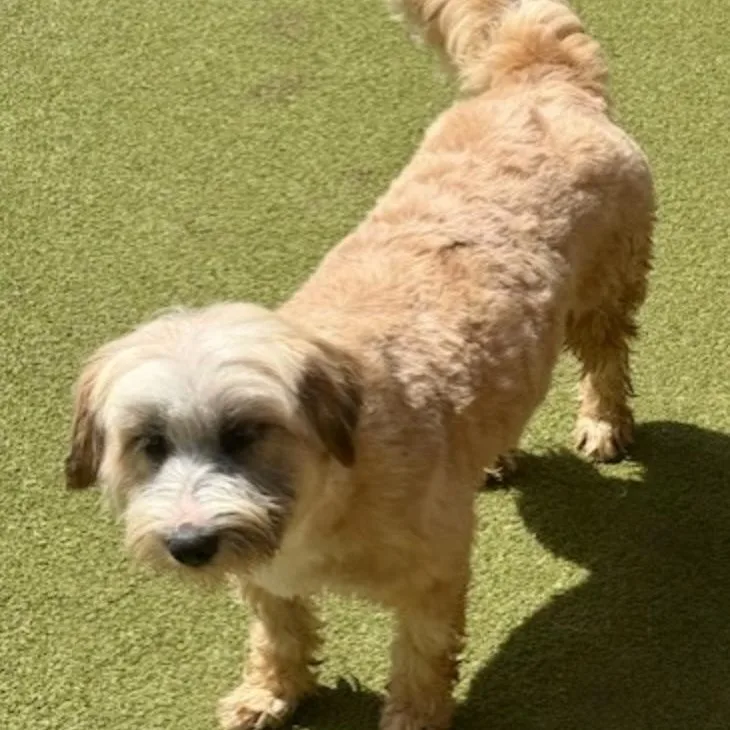 Portland thumbnail 3