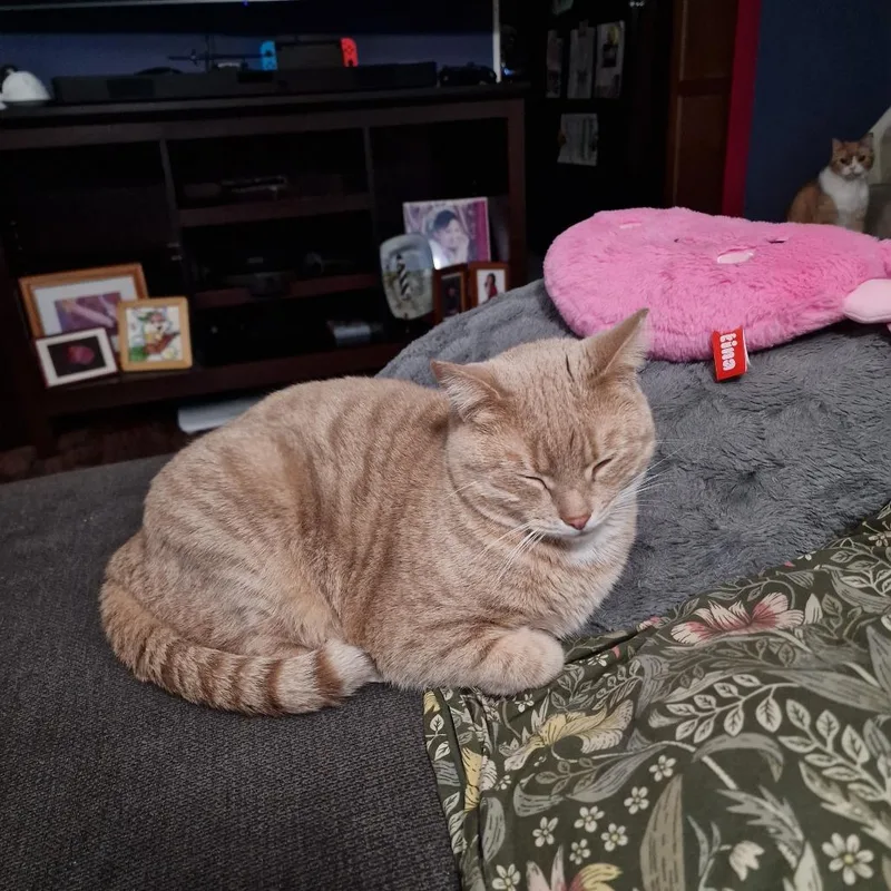 Samantha thumbnail 3