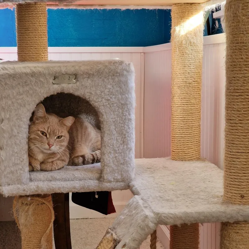 Samantha thumbnail 5