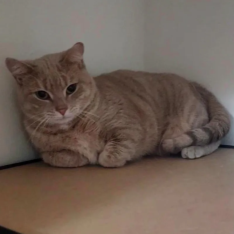 Samantha thumbnail 6