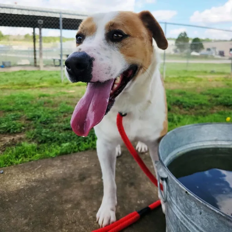 Ignatius thumbnail 2