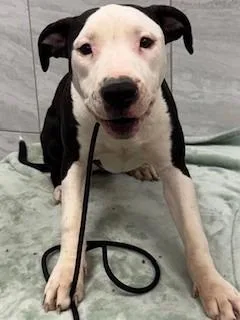 Farah Yrly thumbnail 2