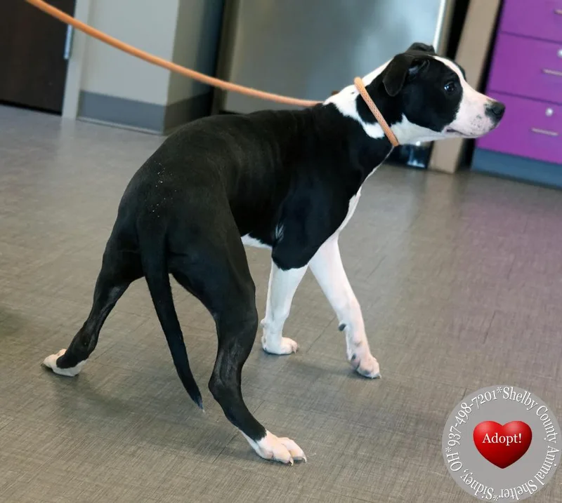 Faya Yrly thumbnail 2