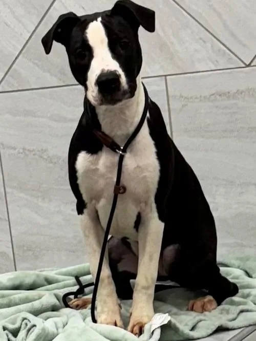 Faya Yrly thumbnail 3